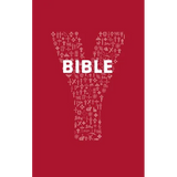 Youcat Bible