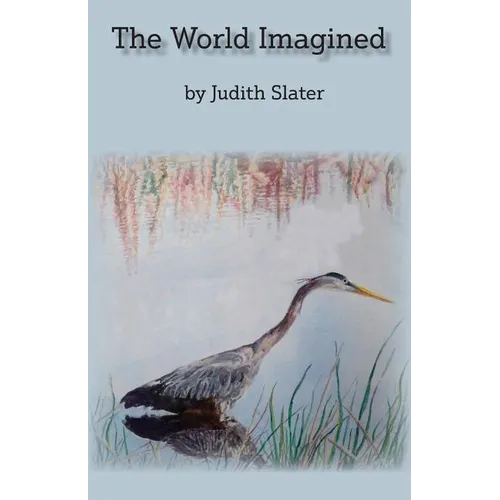 The World Imagined