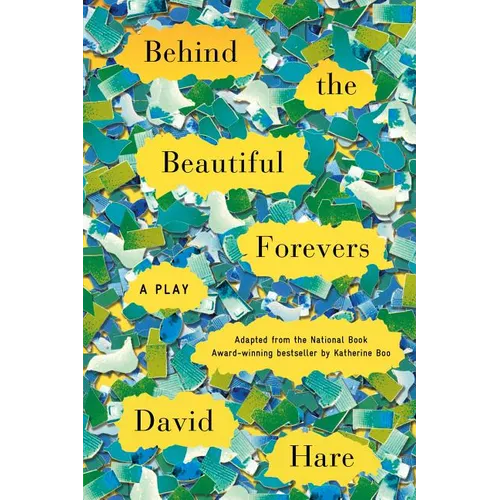Behind the Beautiful Forevers: A Play