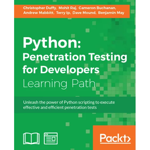 Python: Execute effective tests to identify software vulnerabilities