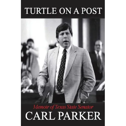 Turtle on a Post