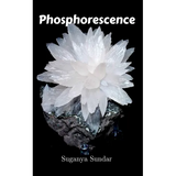 Phosphorescence - Paperback