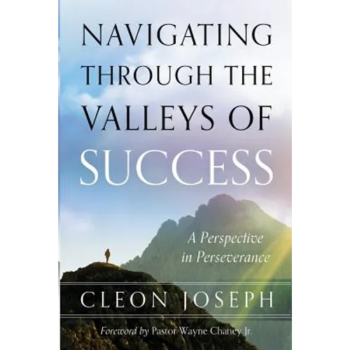 Navigating Through The Valleys Of Success: A Perspective In Perseverance