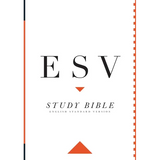 Study Bible-ESV-Large Print - Hardcover