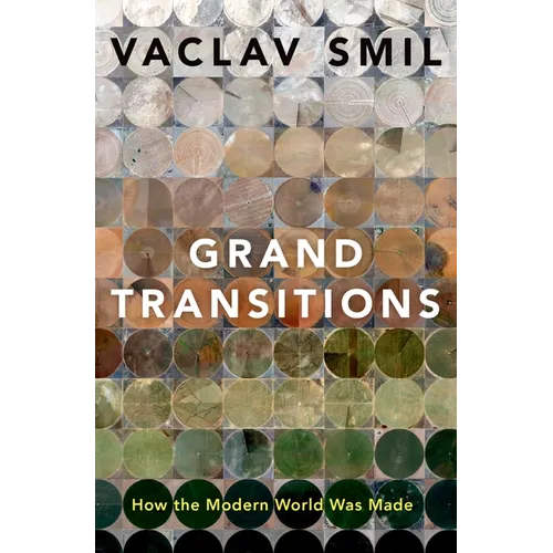 Grand Transitions: How the Modern World Was Made