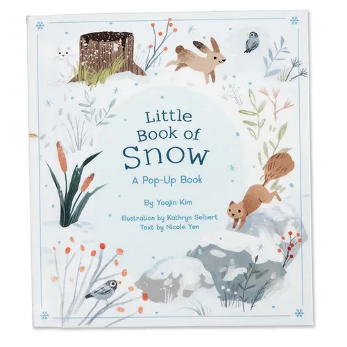 Little Book of Snow