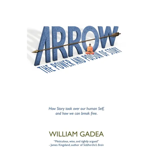 Arrow: The Power and Poison of Story