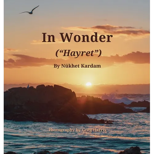 In Wonder ("Hayret")