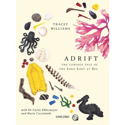 Adrift: The Curious Tale of the Lego Lost at Sea