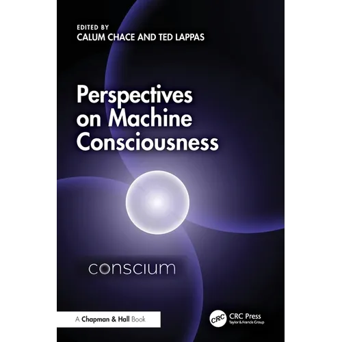 Perspectives on Machine Consciousness