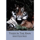 Tiger in the Rain