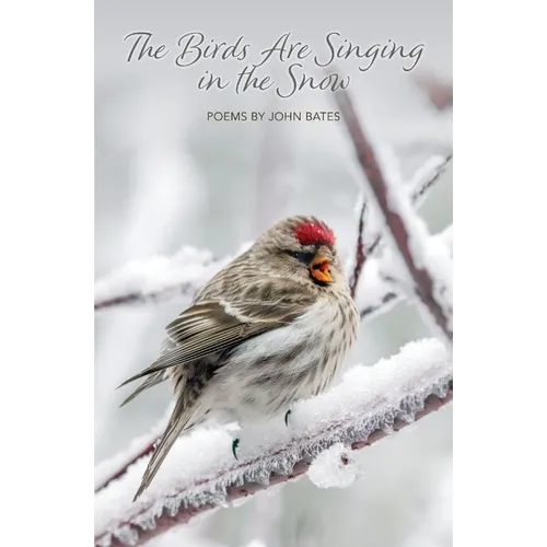 The Birds Are Singing In The Snow