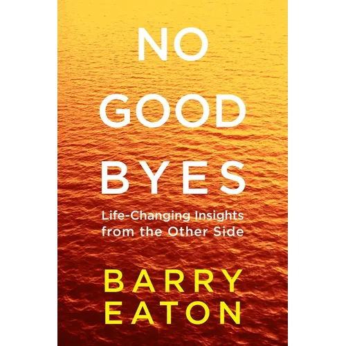 No Goodbyes: No Goodbyes: Life-Changing Insights from the Other Side