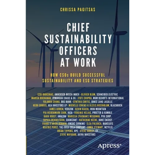 Chief Sustainability Officers at Work: How Csos Build Successful Sustainability and Esg Strategies