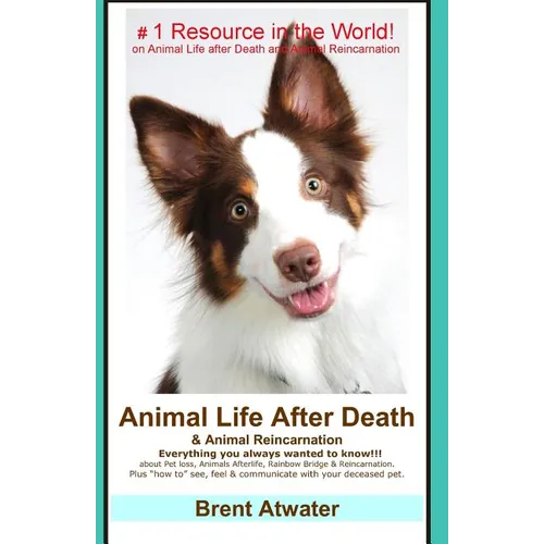 Animal Life After Death & Animal Reincarnation: Pet Loss Answers for all your heart's Questions!
