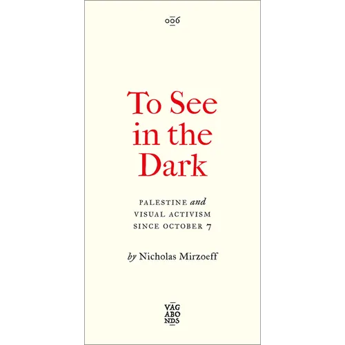 To See in the Dark: Palestine and Visual Activism Since October 7