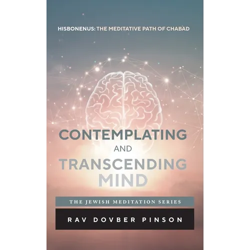 Contemplating and Transcending Mind