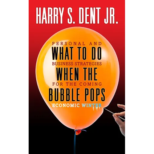 What to Do When the Bubble Pops: Personal and Business Strategies for the Coming Economic Winter
