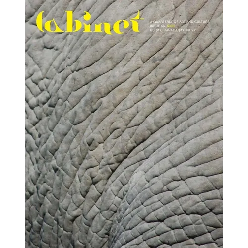 Cabinet 66