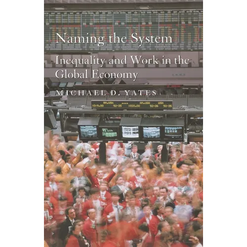 Naming the System: Inequality and Work in the Global Economy