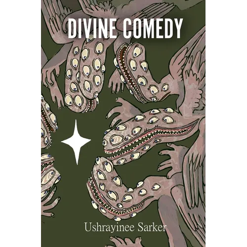 Divine Comedy