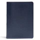 She Reads Truth Bible-CSB - Imitation Leather