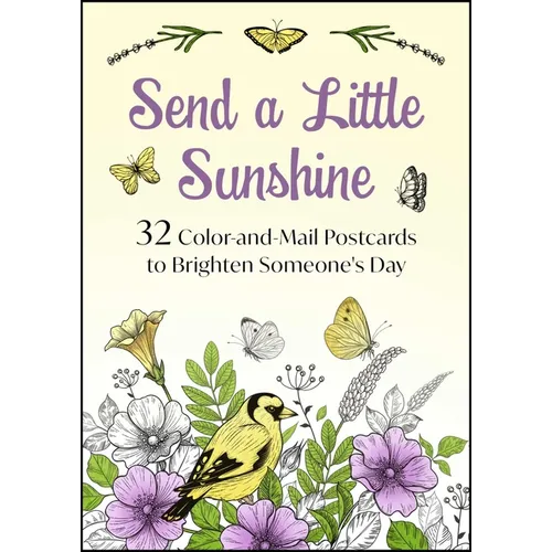 Send a Little Sunshine: 24 Color-And-Mail Postcards to Brighten Someone's Day
