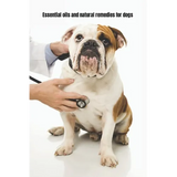 Essential Oils and Natural Remedies for Dogs: Comprehensive Guide To Keep Your Dog Healthy