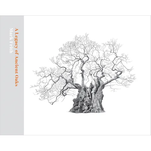A Legacy of Ancient Oaks