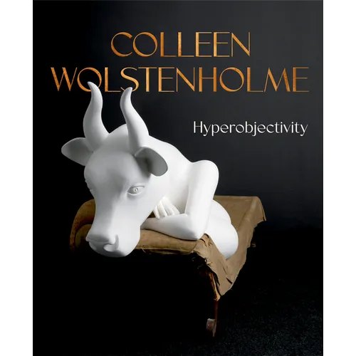 Colleen Wolstenholme: Hyperobjectivity