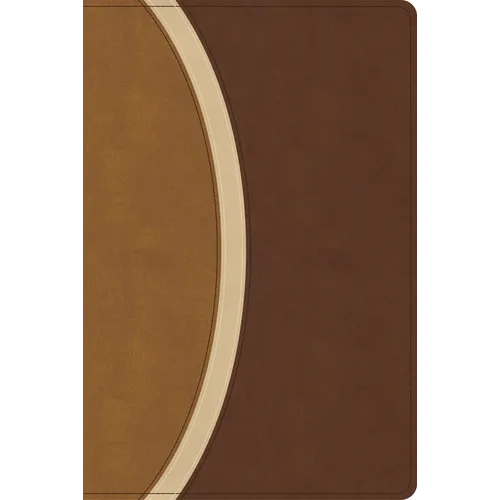 CSB Rainbow Study Bible, Brown Leathertouch (Limited Edition)