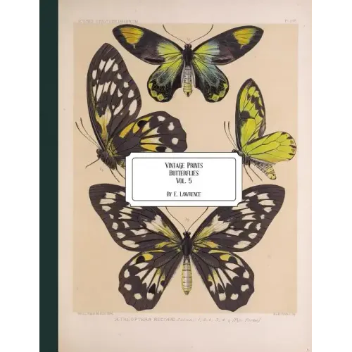 Vintage Prints: Butterflies: Vol. 5