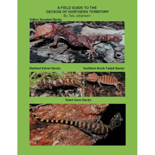 A Field Guide to the Geckos of Northern Territory