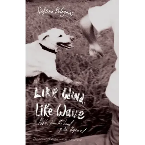 Like Wind, Like Wave