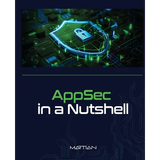 AppSec in a Nutshell: A Brief Intro into Application Security - Paperback