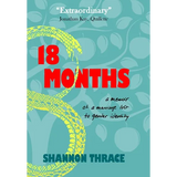 18 Months: A Memoir of a Marriage Lost to Gender Identity - Hardcover
