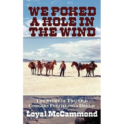 We Poked a Hole in the Wind