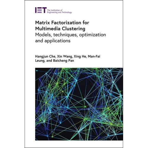 Matrix Factorization for Multimedia Clustering: Models, Techniques, Optimization and Applications