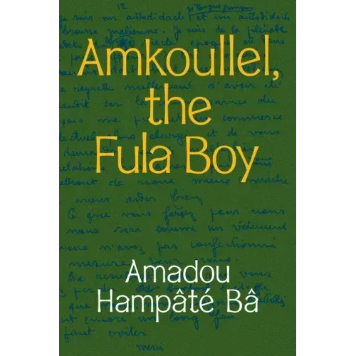 Amkoullel, the Fula Boy