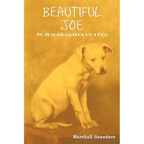 Beautiful Joe