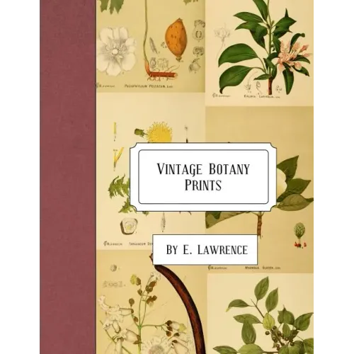 Vintage Botany Prints