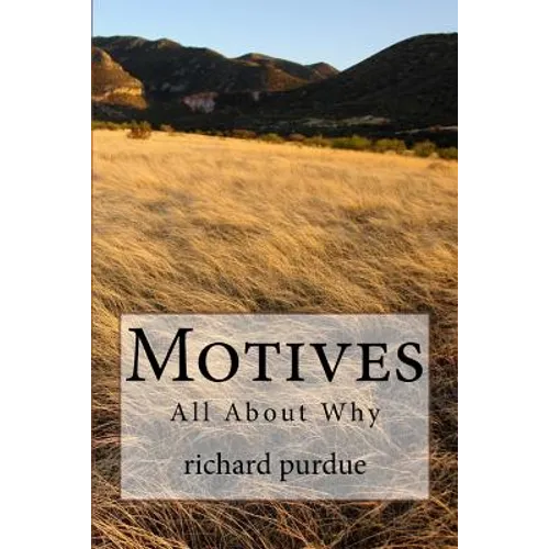 Motives: All about Why