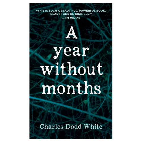 A Year Without Months