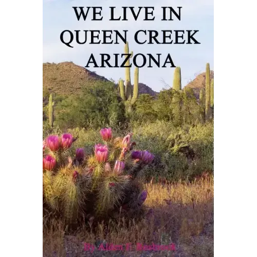 We Live In Queen Creek Arizona: If it were not for the Mafia we would most likely not have moved to Queen Creek