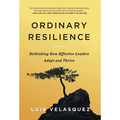 Ordinary Resilience: Rethinking How Effective Leaders Adapt and Thrive