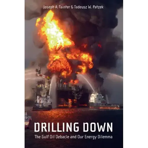 Drilling Down: The Gulf Oil Debacle and Our Energy Dilemma