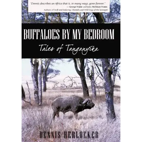 Buffaloes by My Bedroom