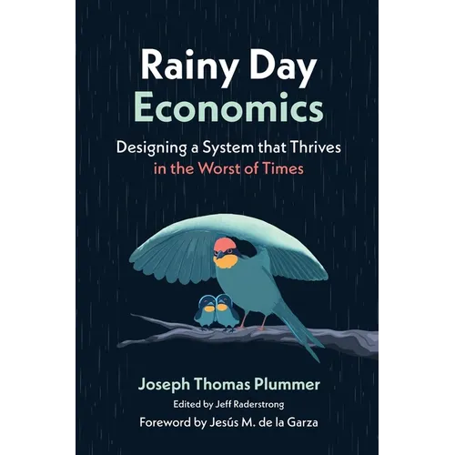 Rainy Day Economics: Designing a System that Thrives in the Worst of Times