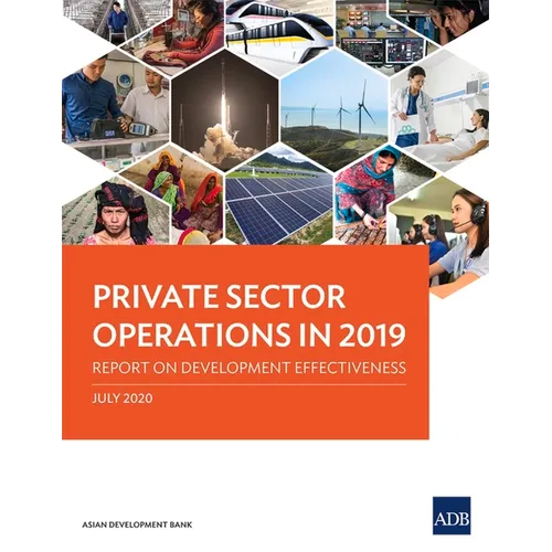 Private Sector Operations in 2019: Report on Development Effectiveness