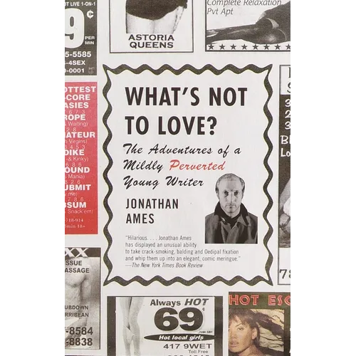 What's Not to Love?: The Adventures of a Mildly Perverted Young Writer